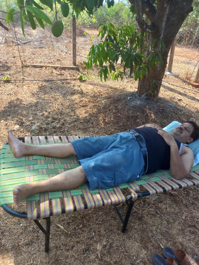 Misty Woods Eco Cottages Harihareshwar Екстериор снимка